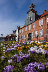 Fototapete bei efototapeten.de bestellen   