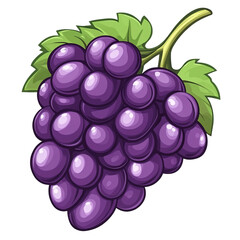 Illustration of a bunch of purple grapes on a white background. transparent background, clipping path.