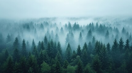 Aerial View of Creeping Fog in Evening Light with Foggy Weather Conditions