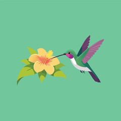 Hummingbird feeding on a yellow hibiscus flower