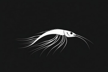 White shrimp on a black background, minimalist design