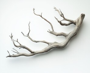 Fototapeta premium Driftwood branch casting intricate shadows on white background