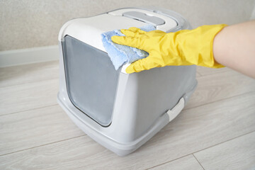 Cleaning enclosed cat litter box with yellow glove and blue cloth on wooden floor.