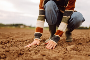 Close-up of a female farmer holding soil in her hands in an agricultural field. Female hands...