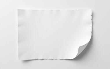Naklejka premium Blank White Paper Sheet with Torn Edge and Curled Corner