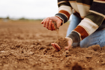 Close-up of a female farmer holding soil in her hands in an agricultural field. Female hands checking the quality of black soil outdoors. Concept of control, quality. Agriculture.