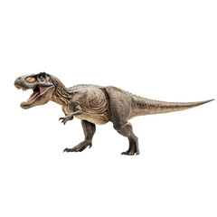 Fototapeta premium T-Rex Isolated Background