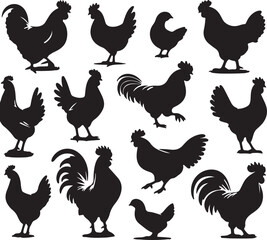 set of chicken silhouettes on white background