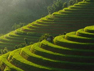 Gardinen Aerial view of terraced rice field in Mu Cang Chai Vietnam. Nature agriculture background © Satoriphotos