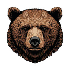 Fototapeta premium Detailed illustration of a majestic brown bear face, cut out