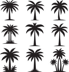 set of palm trees	
