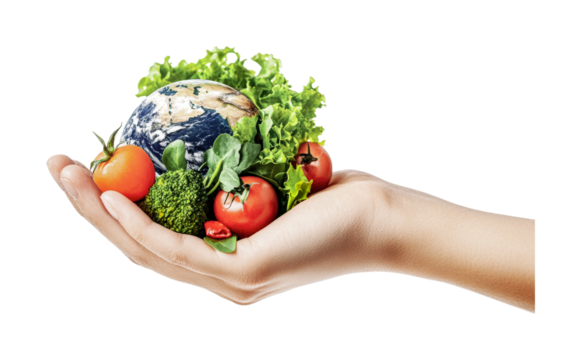 Earth and vegetables in hand symbolizing global agriculture and sustainability, cut out