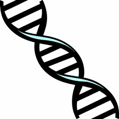 A vector illustration of a DNA double helix, symbolizing the genetic code, molecular biology, and scientific research in genetics and biotechnology.
