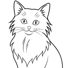 A hand-drawn outline illustration of a cute fluffy cat with expressive eyes and a smiling face, capturing the charm and character of a domestic feline.






