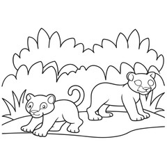 Lion Cubs Illustrations on Transparent Background for Wildlife and Animal Art