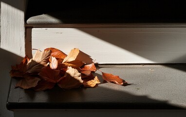 Autumn Leaves on Stone Steps in Sunlight
