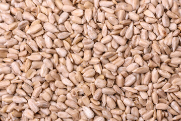 Peeled sunflower seeds in a bowl, an ingredient for making vegetarian food