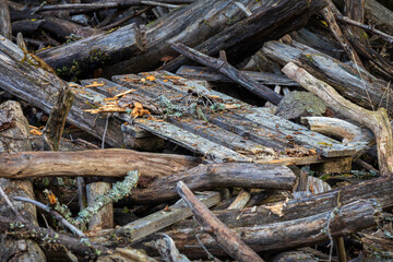 A small man-made deck of wooden planks stands amid washed-ashore driftwood and logs, blending human construction with nature’s chaos