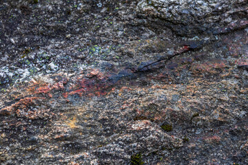  Close-up of natural stone patterns, showcasing unique textures, cracks, and organic formations. Ideal for background and texture