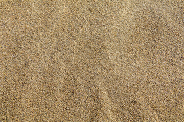 Close-up of sand textures and natural patterns, showcasing ripples, grains, and organic formations,...