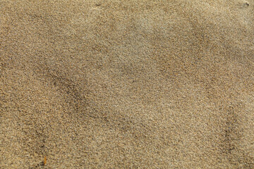Close-up of sand textures and natural patterns, showcasing ripples, grains, and organic formations, perfect for background and texture