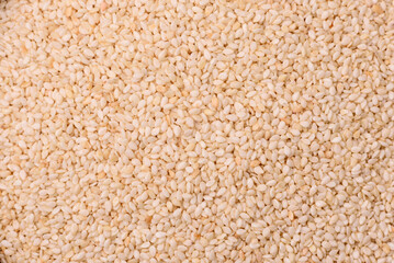 White sesame seeds in a bowl, an ingredient for making vegetarian food