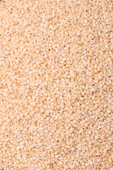 White sesame seeds in a bowl, an ingredient for making vegetarian food