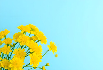 yellow flowers on blue background