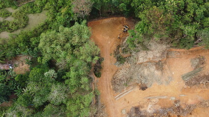 Excavator Clearing Land in Forested Area
