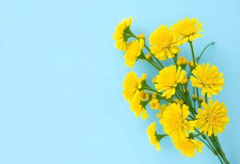 yellow flowers on blue background