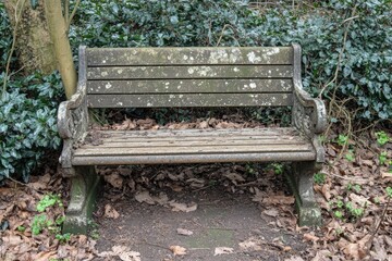 Naklejka premium Weathered park bench in a leafy setting