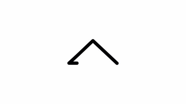 Pack of carets arrows icons, caret up, down, left, right, pointer, directions, navigations, triangles, markers  | 4K UHD Alpha | Transparent Background | Animated Outline Icons | Interface Design