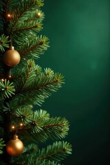 Fototapeta premium Classic Christmas evergreen boughs and gilded leaves, rich green and gold, leaves, symbol