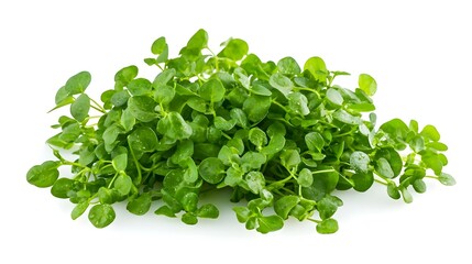 Obraz premium Fresh Watercress isolated on white background