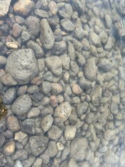 Water and stones in shallow river. Pebble bottom of lake.