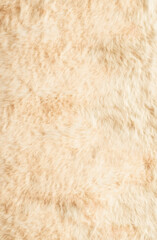A close-up of soft, light brown fur with a plush texture.