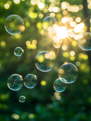 Bubbles float gently in warm sunlight among green foliage