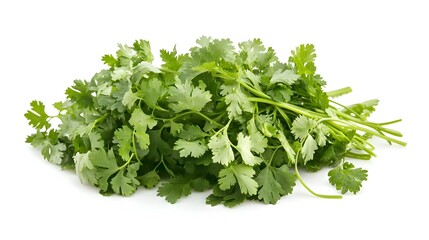 Obraz premium fresh coriander leaves over white background