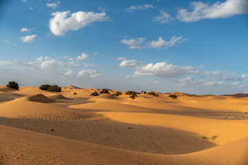 the Sahara Desert in Morocco 