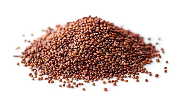 pile of red finger millet or ragi raagi nachni