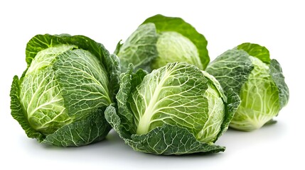 Fototapeta premium cabbage on white background