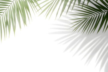 Fototapeta premium Realistic palm leaf shadow overlay effect isolated on white background, Natural shadow of tropical palm branch. Mockup of transparent shadow for product presentation, backdrop, Design elements, PNG