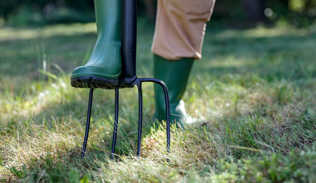 A person wearing green rubber boots using a garden fork on grass in the garden. Gardening season. - Powered by Adobe