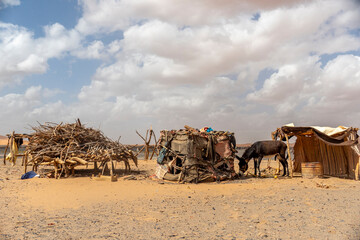 Moroccan berber village near the Sahara 