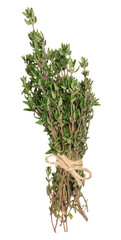 Bunch of fresh thyme tied with rope on isolated background