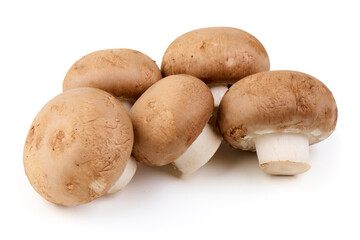 Fresh Brown Mushrooms, Isolated on White Background.