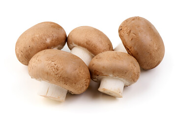 Fresh Brown Mushrooms, Isolated on White Background.
