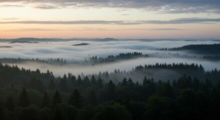 Fog Rolling Over Forest at Dawn Creates Serene Landscape Scenery