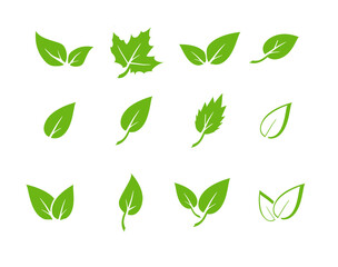Green leaf icons set. Elements design for natural, eco, vegan. Leaves icon on isolated background. Collection green leaf. Vector