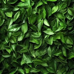 Spinach: Nutrient-rich veggie